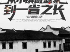 王鸿伟朱梦瑶《官途：从小镇做题家到一省之长》完结版小说全文免费阅读